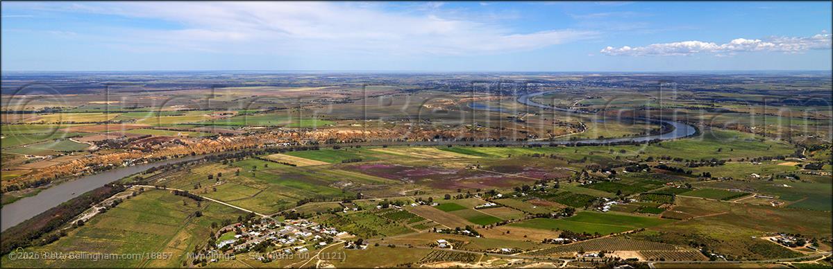 Peter Bellingham Photography Mypolonga - SA (PBH3 00 31121)